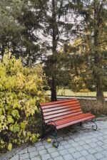 Furniture Suppliers. Durable wooden outdoor garden bench, wooden garden bench, outdoor wooden bench, garden seating bench, solid wood garden bench, durable outdoor bench, premium wooden bench, modern garden bench, wooden patio bench, wooden balcony bench, wooden park bench, outdoor seating furniture, garden furniture, patio furniture, wooden outdoor furniture, handcrafted garden bench, custom wooden bench, bespoke outdoor bench, luxury garden bench, rustic wooden bench, contemporary garden bench, minimalist outdoor bench, heavy duty garden bench, weather resistant wooden bench, treated wood garden bench, teak garden bench, mahogany garden bench, hardwood outdoor bench, wooden bench with backrest, garden bench with armrests, comfortable outdoor bench, decorative garden seating, backyard garden bench, lawn seating bench, terrace wooden bench, veranda bench, porch wooden bench, outdoor relaxation furniture, garden decor furniture, residential outdoor furniture, commercial garden seating, hospitality outdoor furniture, durable garden furniture, premium outdoor seating, custom garden furniture, wooden seating solutions, outdoor living furniture, garden furniture Kenya, wooden garden benches Kenya, outdoor wooden benches Kenya, durable garden furniture Kenya, wooden outdoor furniture Kenya, patio benches Kenya, garden seating Kenya, wooden patio furniture Kenya, solid wood benches Kenya, teak garden benches Kenya, mahogany garden benches Kenya, hardwood outdoor benches Kenya, custom garden benches Kenya, handcrafted wooden benches Kenya, modern garden furniture Kenya, luxury outdoor furniture Kenya, outdoor seating Kenya, garden furniture suppliers Kenya, outdoor furniture suppliers Kenya, wooden furniture Kenya, custom furniture Kenya, garden bench manufacturers Kenya, wooden bench makers Kenya, garden benches Nairobi, wooden outdoor benches Nairobi, durable garden benches Nairobi, garden furniture Nairobi, patio benches Nairobi, wooden patio furniture Nairobi, solid wood garden benches Nairobi, teak benches Nairobi, mahogany benches Nairobi, custom wooden benches Nairobi, handcrafted benches Nairobi, outdoor furniture Nairobi, garden seating Nairobi, luxury garden furniture Nairobi, modern outdoor furniture Nairobi, garden furniture suppliers Nairobi, wooden furniture suppliers Nairobi, custom furniture Nairobi, garden benches Westlands, wooden benches Westlands, outdoor furniture Westlands, garden benches Kilimani, wooden patio benches Kilimani, garden furniture Kilimani, garden benches Karen Nairobi, luxury wooden benches Karen, outdoor furniture Karen, garden benches Lavington, wooden outdoor furniture Lavington, garden benches Runda, premium garden furniture Runda, wooden benches Kileleshwa, garden furniture Kileleshwa, outdoor benches Mombasa, wooden garden benches Mombasa, outdoor furniture Mombasa, garden seating Mombasa, wooden benches Kisumu, garden furniture Kisumu, outdoor seating Kisumu, wooden benches Nakuru, garden furniture Nakuru, durable outdoor benches Nakuru, wooden benches Eldoret, garden furniture Eldoret, outdoor seating Eldoret, wooden benches Kiambu, outdoor furniture Kiambu, wooden garden benches Kiambu, wooden benches Thika, garden furniture Thika, outdoor seating Thika, affordable wooden garden benches Kenya, premium garden benches Kenya, durable outdoor seating Kenya, weather resistant wooden furniture Kenya, quality wooden benches Kenya, long lasting garden furniture Kenya, custom outdoor seating Kenya, modern garden bench designs Kenya, luxury garden seating Kenya, handcrafted outdoor furniture Kenya, solid wood outdoor benches Nairobi, wooden garden furniture Kenya.